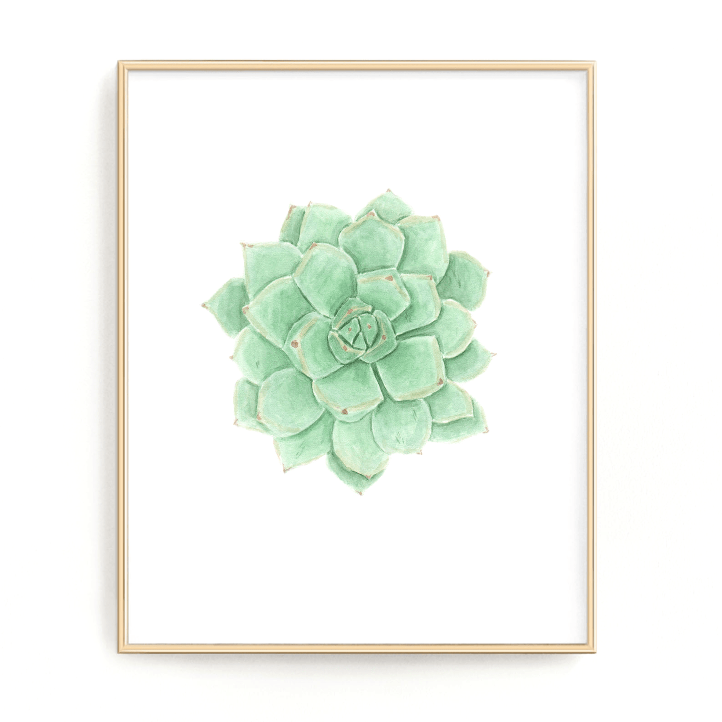 Succulent Print, Green Succulent Watercolor Succulent Painting, Succulent, Succulent Decor, Green Succulent Emilie Taylor Art