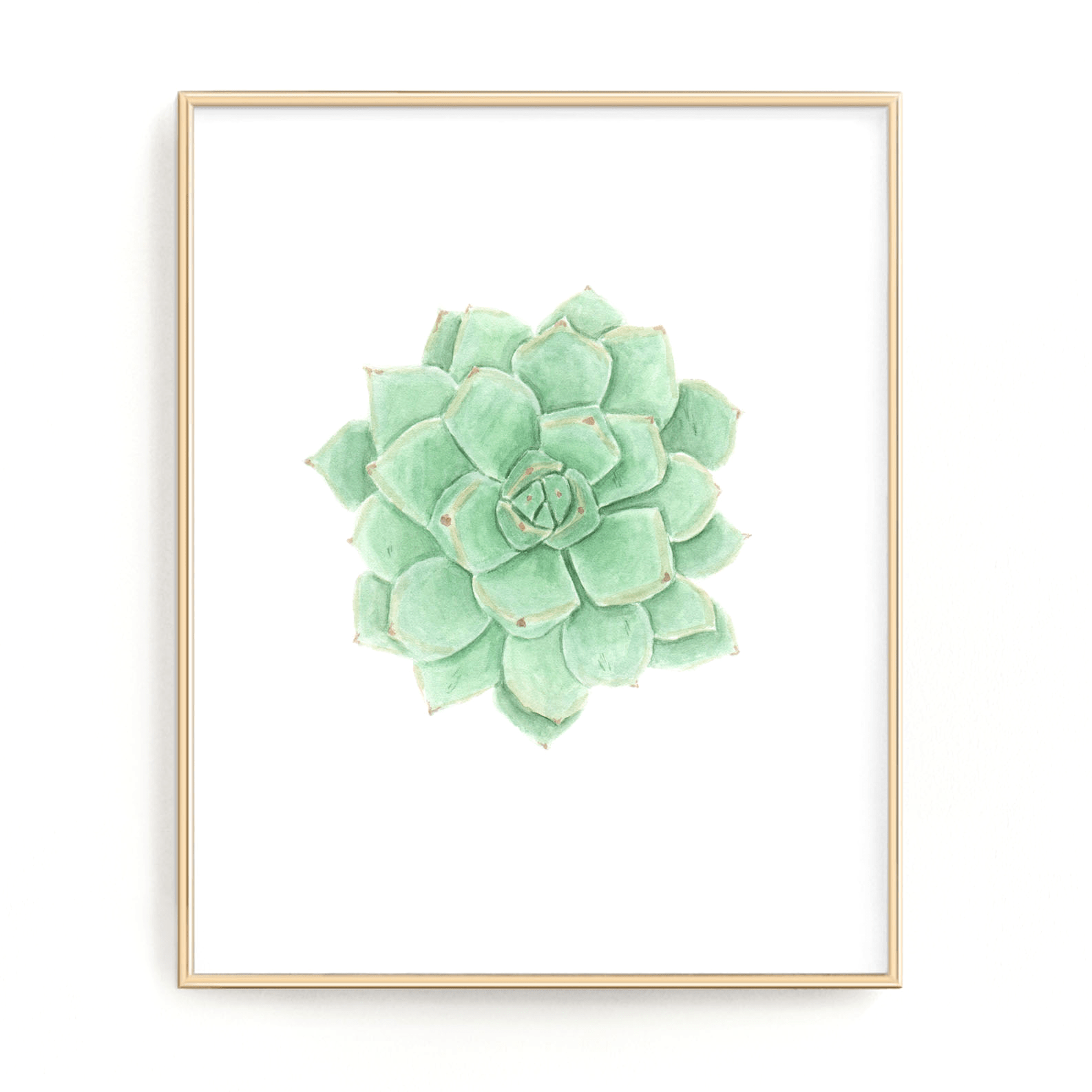 Succulent Print, Green Succulent Watercolor Succulent Painting, Succulent, Succulent Decor, Green Succulent Emilie Taylor Art