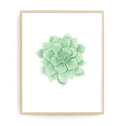 Succulent Print, Green Succulent Watercolor Succulent Painting, Succulent, Succulent Decor, Green Succulent Emilie Taylor Art