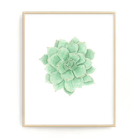 Succulent Print, Green Succulent Watercolor Succulent Painting, Succulent, Succulent Decor, Green Succulent Emilie Taylor Art