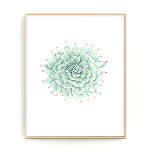 Succulent Print, Watercolor Succulent Painting, Succulent Decor, Desert plant, Blue Succulent, Emilie Taylor Art