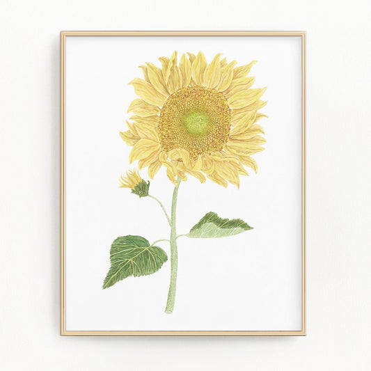 Sunflower Print, Watercolor Sunflower Painting, Sunflower Art, Floral Art, Floral Print Emilie Taylor Art