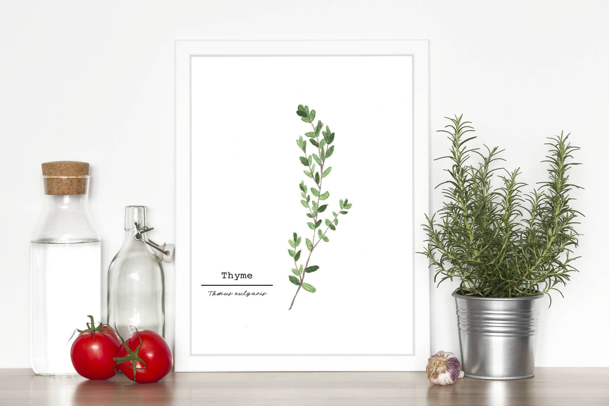 Thyme Watercolor Painting, Kitchen Wall Art, Herb Painting, Food Art, Botanical Art, Gardener Gift Emilie Taylor Art