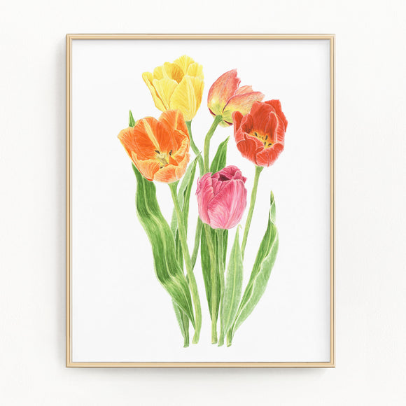 Tulip Print, Watercolor Tulip Painting, Multicolor Tulips