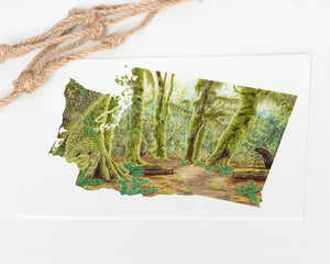 Washington Olympic National Park, Hoh Rainforest, Watercolor Print