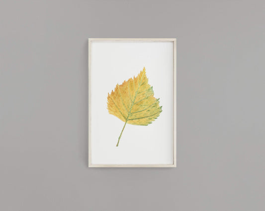 Watercolor Birch leaf Painting, Fall Decor, Leaf Print, Botanical Art, Birch Leaf, Birch Tree Emilie Taylor Art
