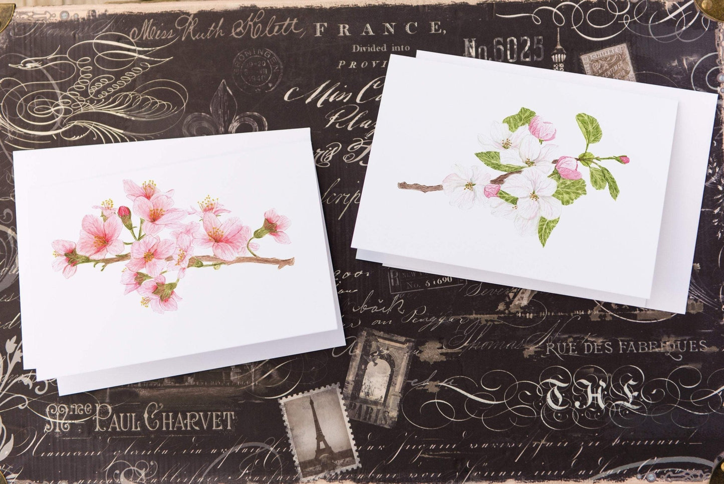 Watercolor Greeting Card, Floral Card, Flower Greeting Card, Flower Art, Apple blossom Art Emilie Taylor Art