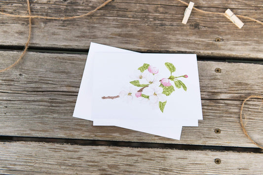 Watercolor Greeting Card, Floral Card, Flower Greeting Card, Flower Art, Apple blossom Art Emilie Taylor Art