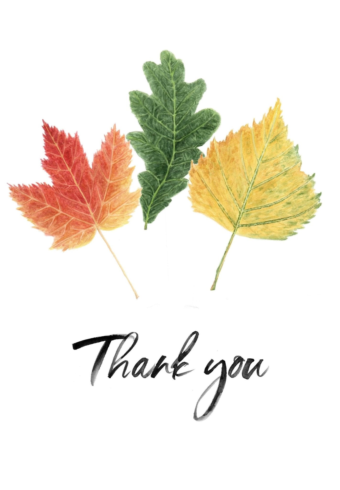 Watercolor Greeting Card, Thank You Card, Greeting Card, Thanksgiving Card, Autumn Blank Card Emilie Taylor Art