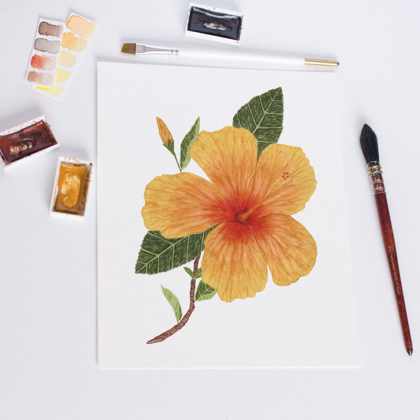 Watercolor Hibiscus, Hibiscus Painting, Hibiscus Art, Floral Art, Floral Print, Tropical Floral Emilie Taylor Art