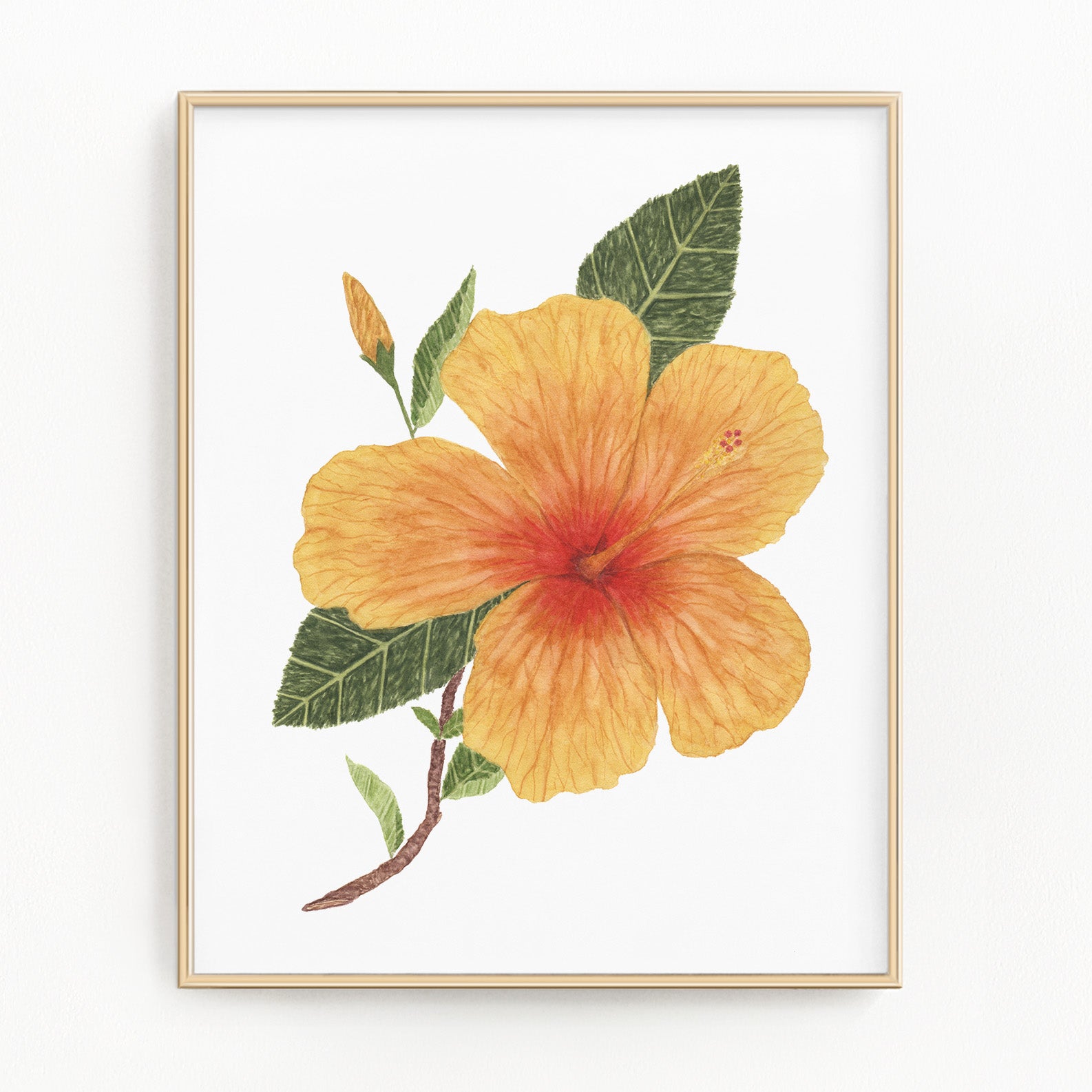 Watercolor Hibiscus, Hibiscus Painting, Hibiscus Art, Floral Art, Floral Print, Tropical Floral Emilie Taylor Art