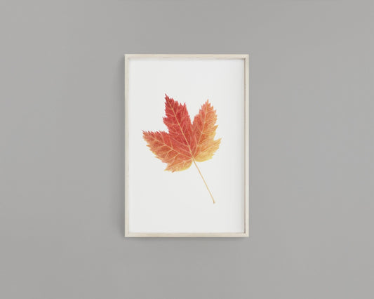 Watercolor Maple leaf Painting, Leaf Art, Fall Decor, Leaf Print, Fall Gift, Maple Leaf Emilie Taylor Art