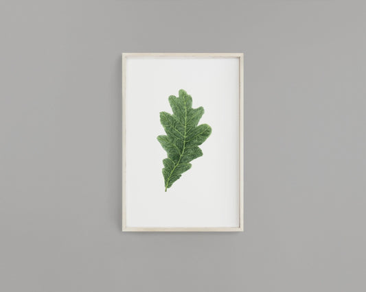 Watercolor Oak leaf Painting, Leaf Art, Fall Decor, White Oak Leaf, Green leaf, Leaf decor Emilie Taylor Art
