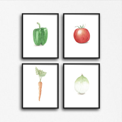 Watercolor Onion Painting, Kitchen Art, Vegetable Print, Onion Art, White onion, Garden Plant art Emilie Taylor Art