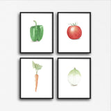 Watercolor Onion Painting, Kitchen Art, Vegetable Print, Onion Art, White onion, Garden Plant art Emilie Taylor Art