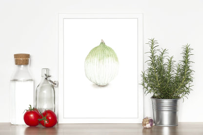 Watercolor Onion Painting, Kitchen Art, Vegetable Print, Onion Art, White onion, Garden Plant art Emilie Taylor Art