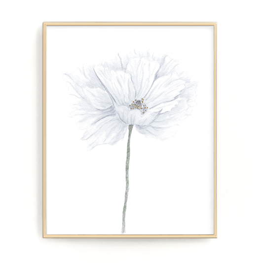 White Poppy Print, Watercolor Poppy Painting, Poppy Art, Floral Print, Flower Art, White flower art Emilie Taylor Art