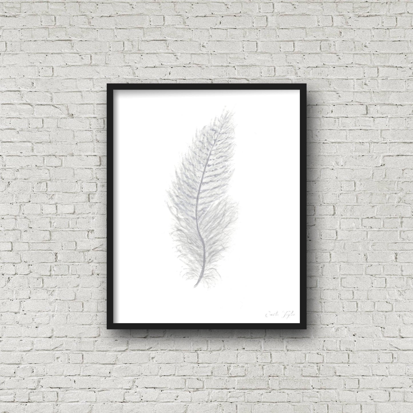 White Watercolor Feather, Feather Print, Grey Feather, Bird Feather, Grey Decor, Feather wall art Emilie Taylor Art