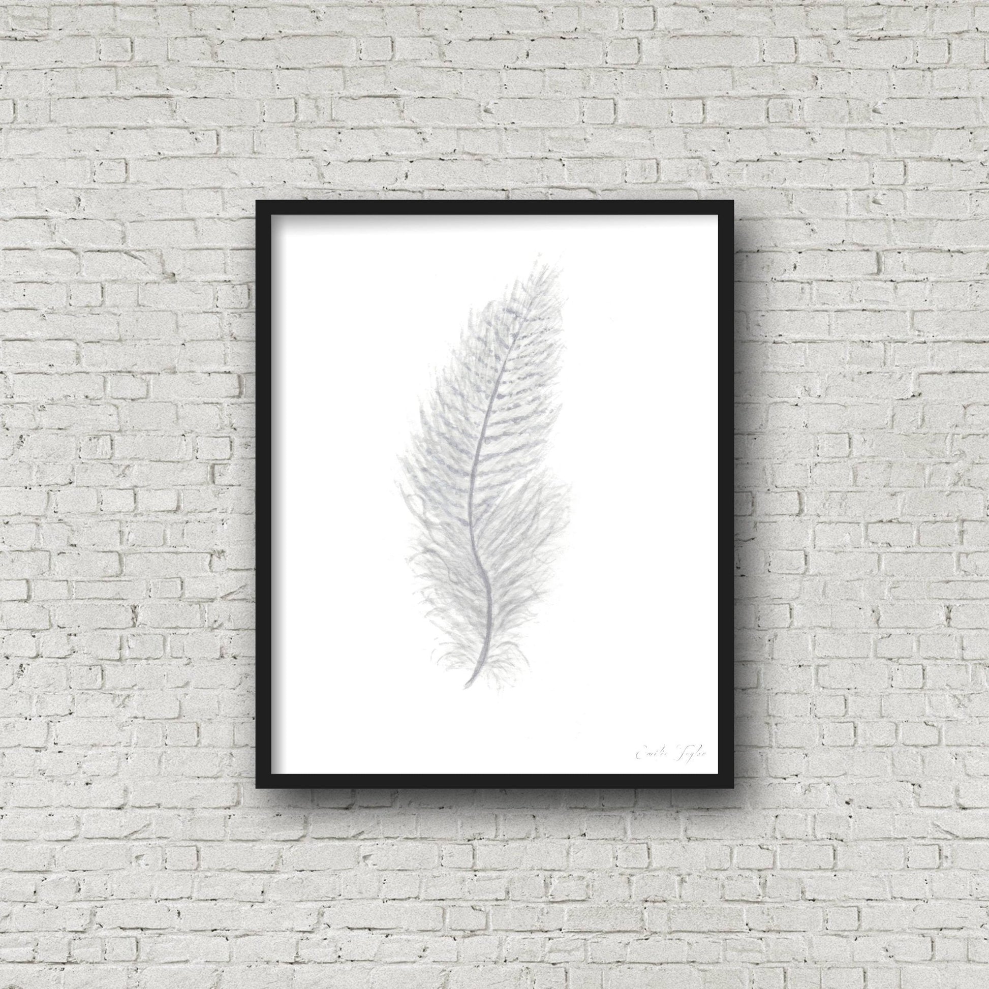 White Watercolor Feather, Feather Print, Grey Feather, Bird Feather, Grey Decor, Feather wall art Emilie Taylor Art