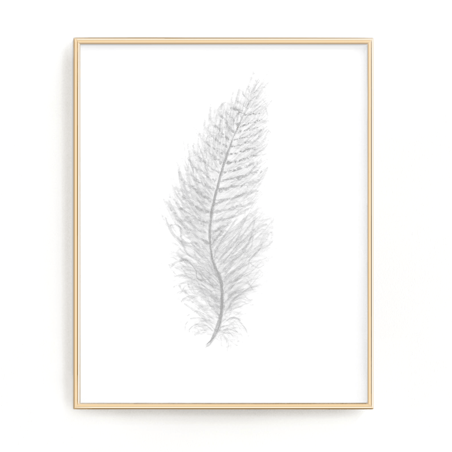 White Watercolor Feather, Feather Print, Grey Feather, Bird Feather, Grey Decor, Feather wall art Emilie Taylor Art
