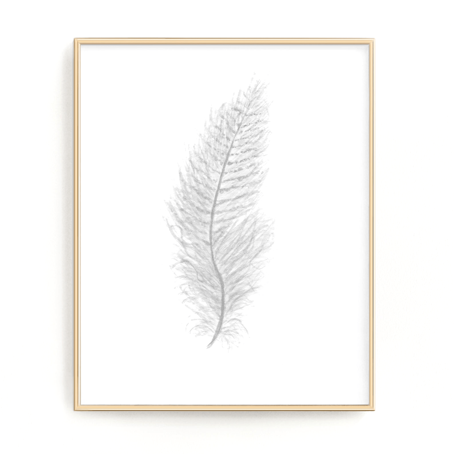 White Watercolor Feather, Feather Print, Grey Feather, Bird Feather, Grey Decor, Feather wall art Emilie Taylor Art