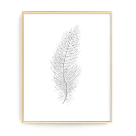 White Watercolor Feather, Feather Print, Grey Feather, Bird Feather, Grey Decor, Feather wall art Emilie Taylor Art