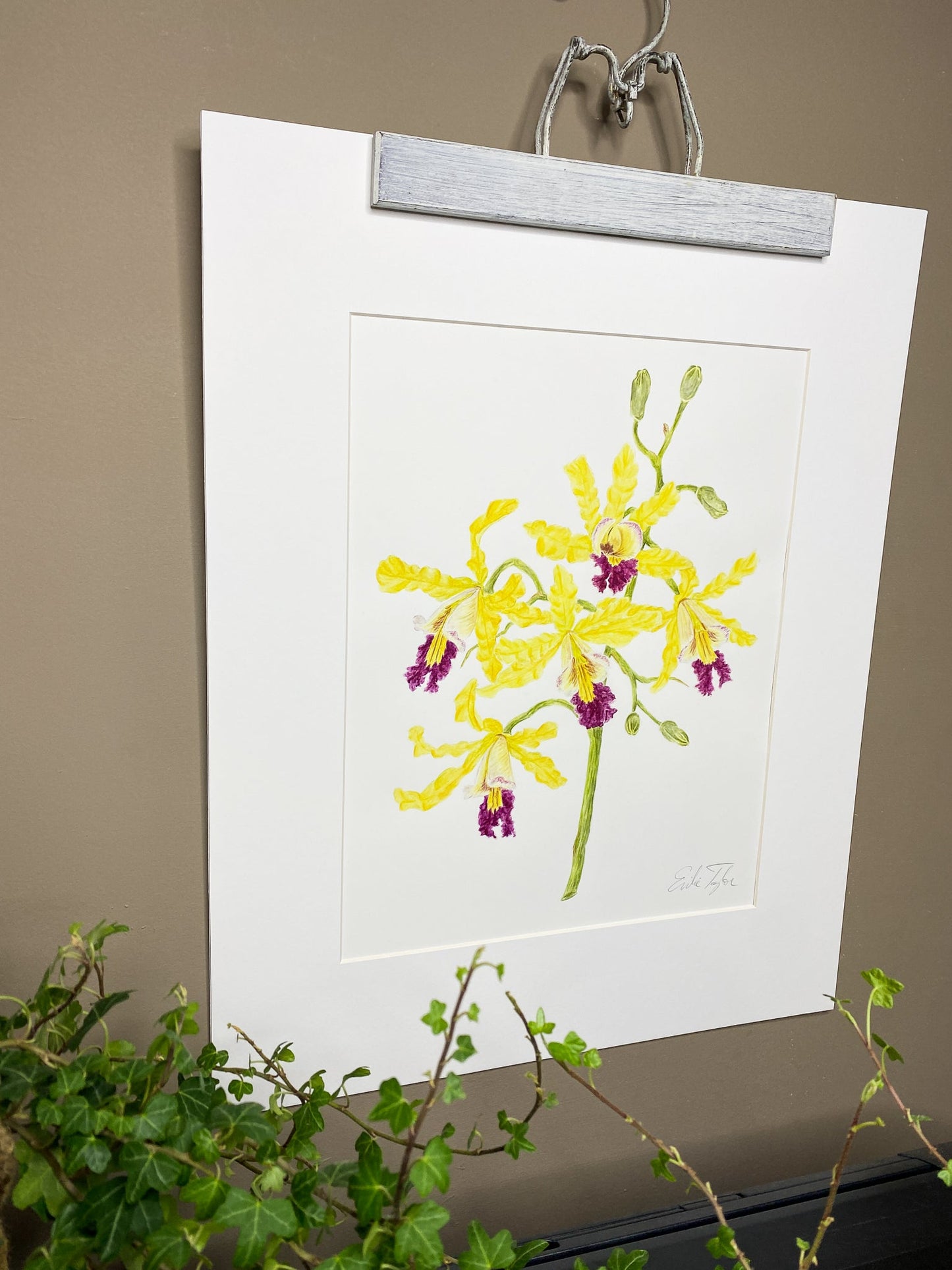 Wild Banana Orchid Original Painting Mated to size 16x20 Emilie Taylor Art