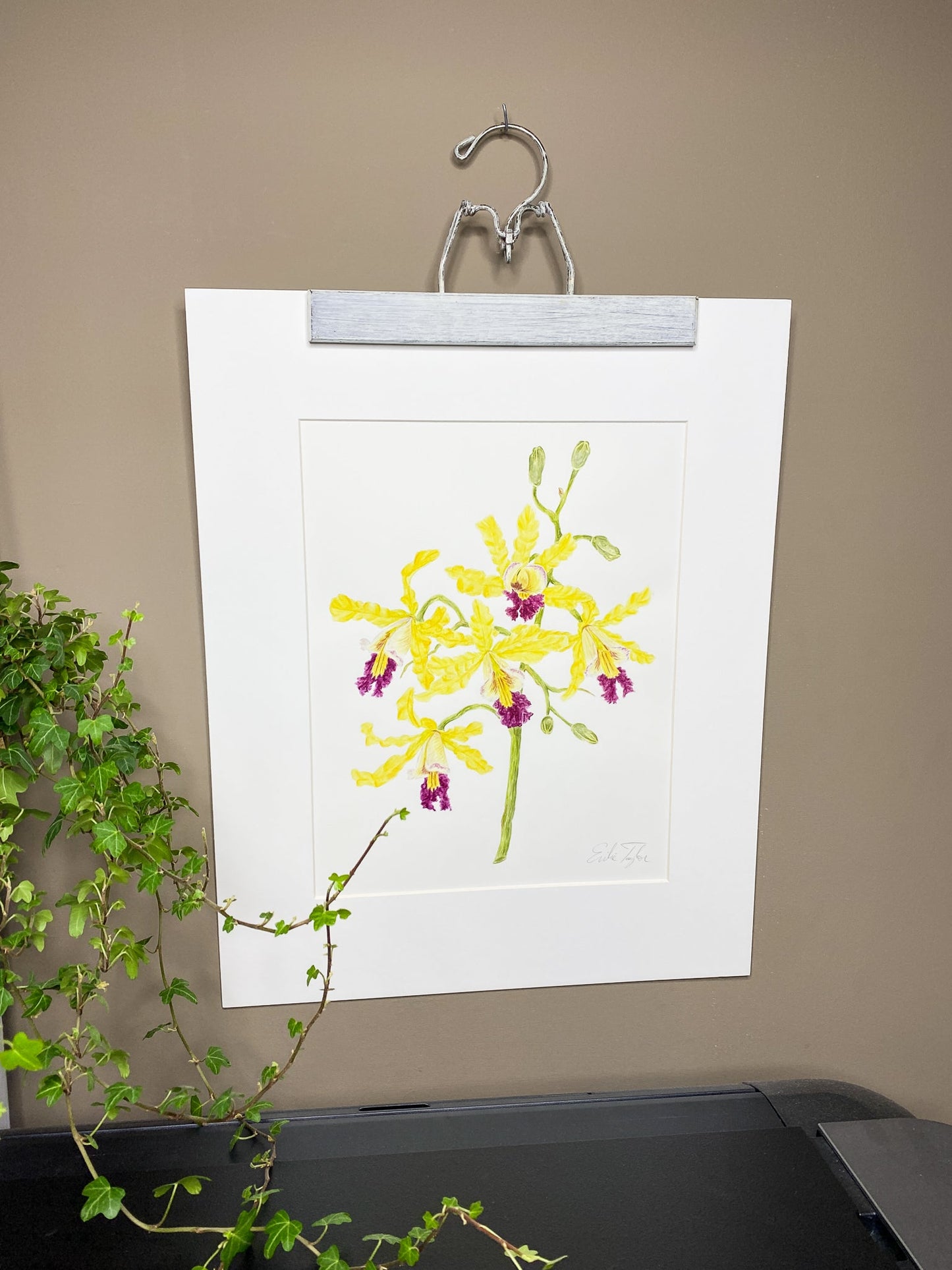 Wild Banana Orchid Original Painting Mated to size 16x20 Emilie Taylor Art