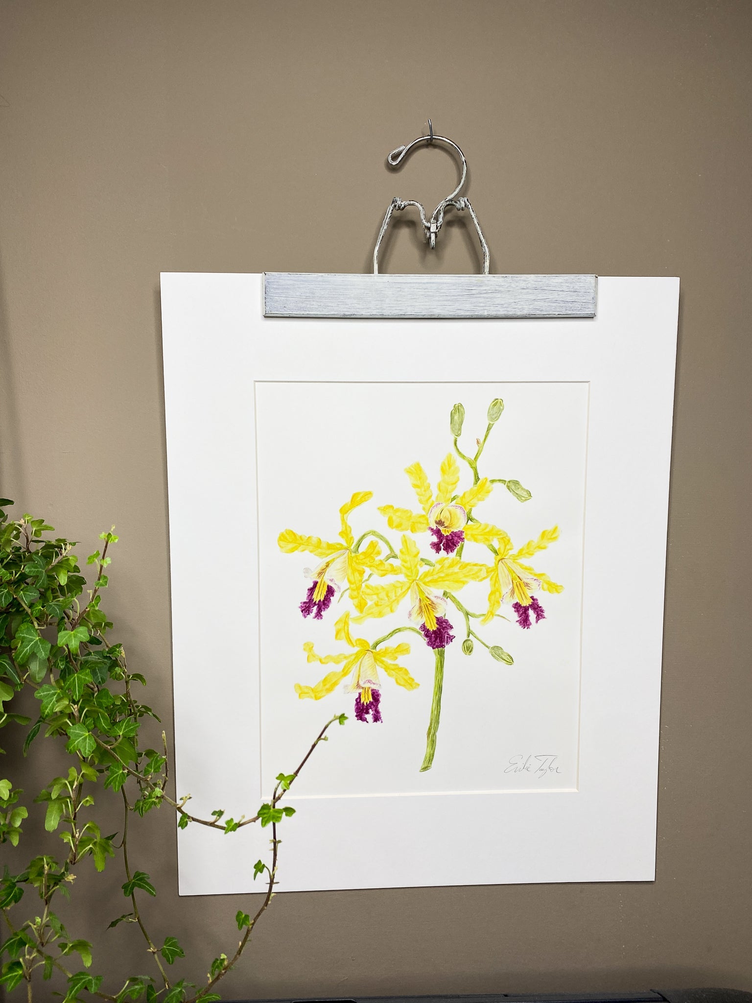 Wild Banana Orchid Original Painting Mated to size 16x20 Emilie Taylor Art